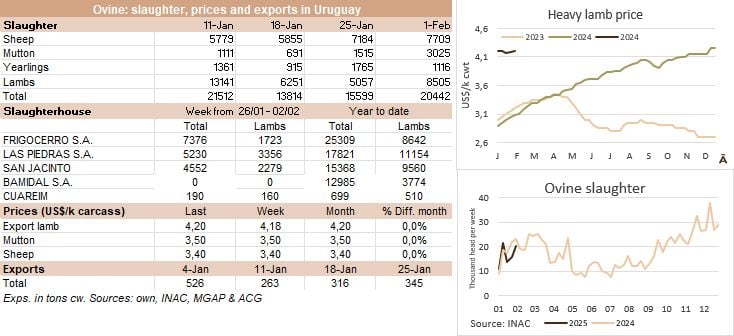 Image related to report content