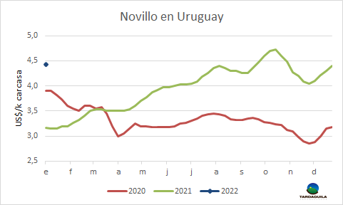 graficas uruguay novillo