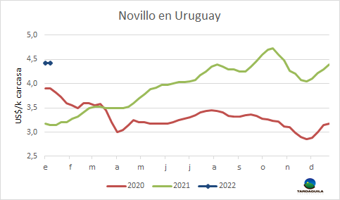 novillo uruguay